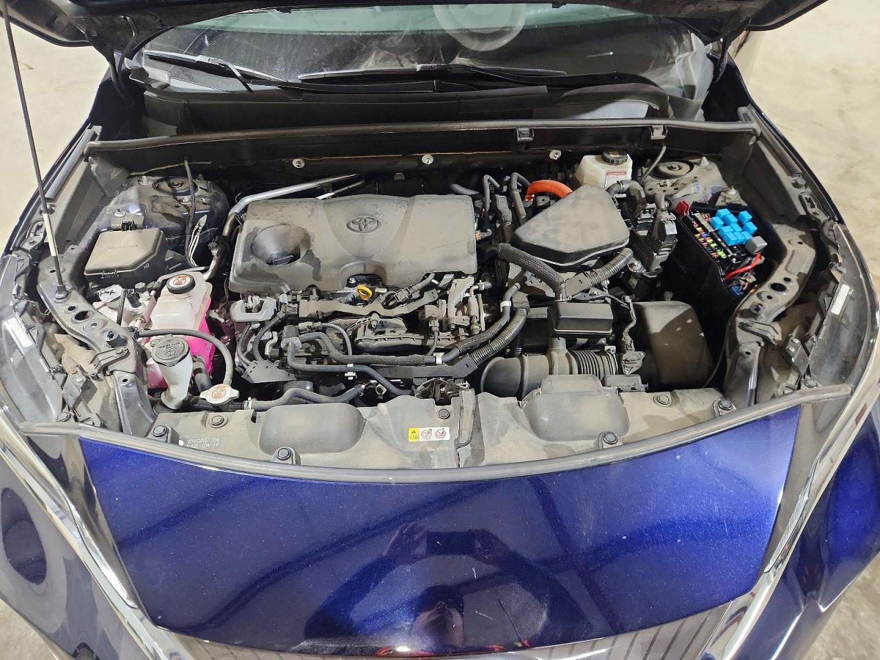 2021 TOYOTA VENZA