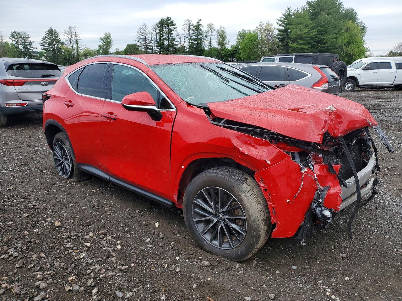 2024 LEXUS NX
