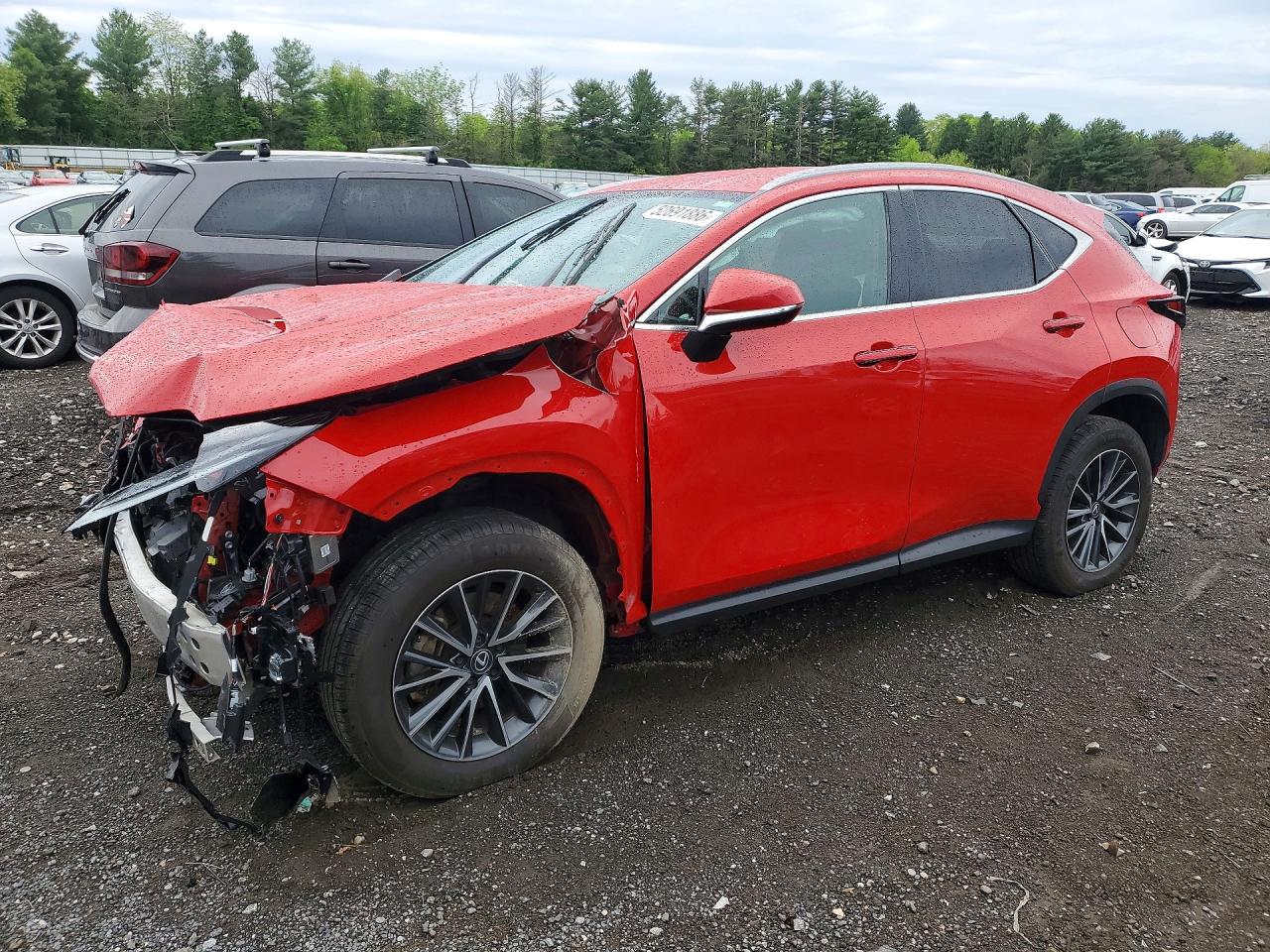 2024 LEXUS NX