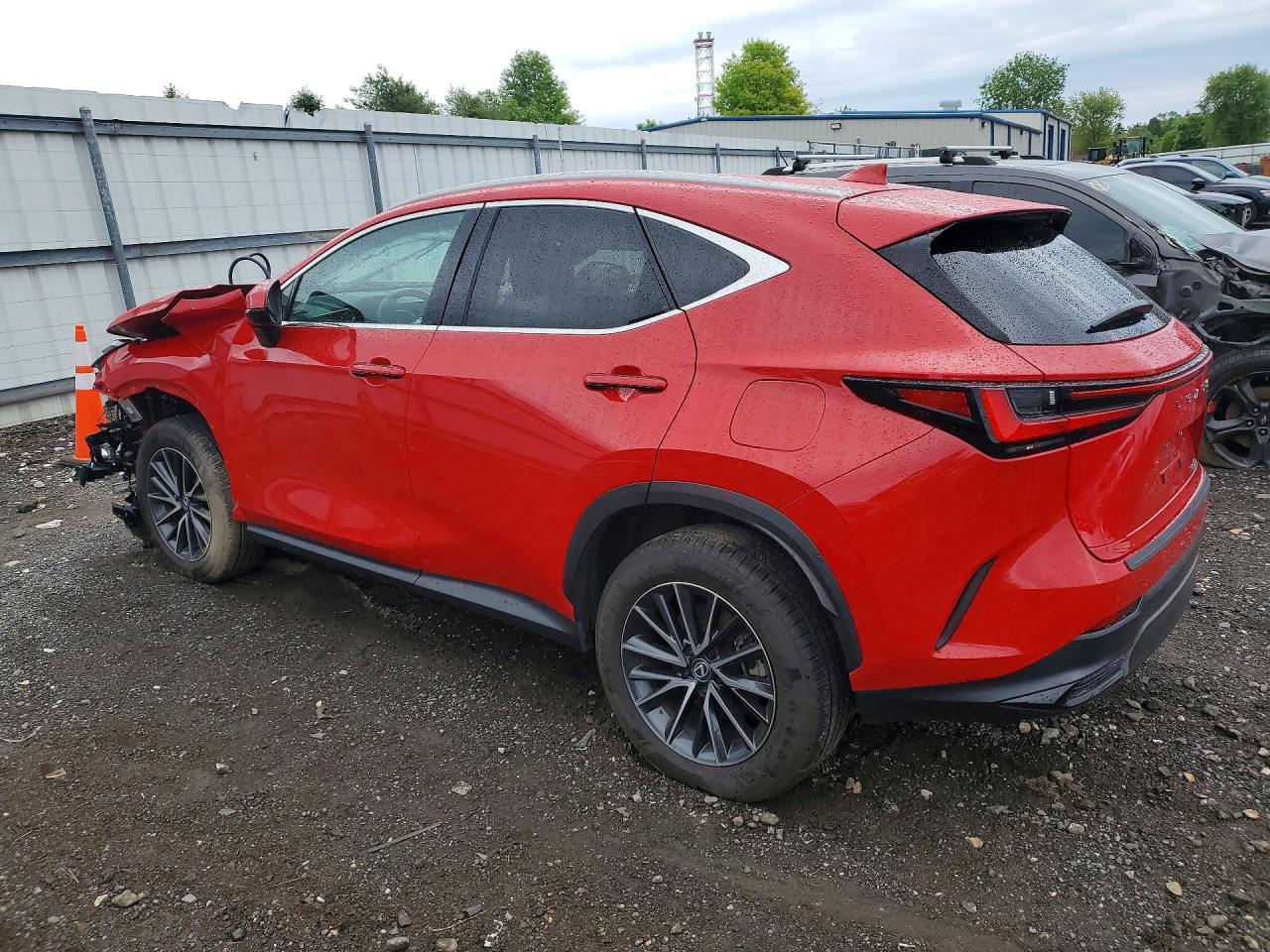 2024 LEXUS NX