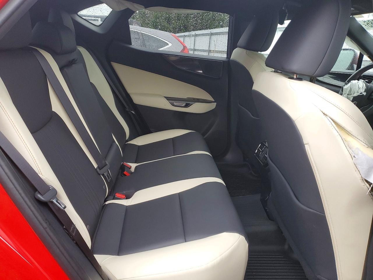 2024 LEXUS NX