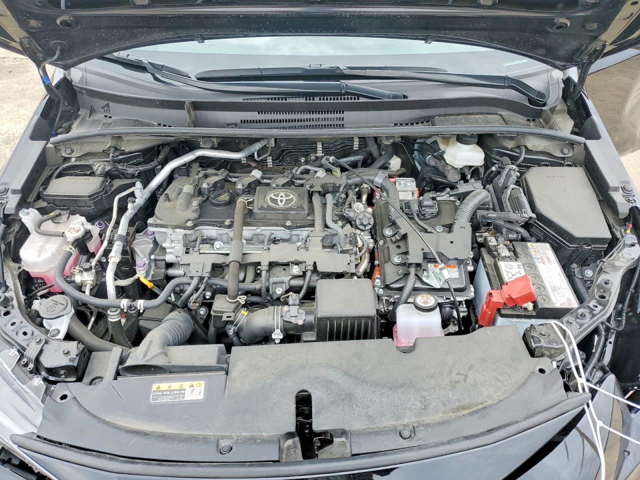 2025 TOYOTA COROLLA