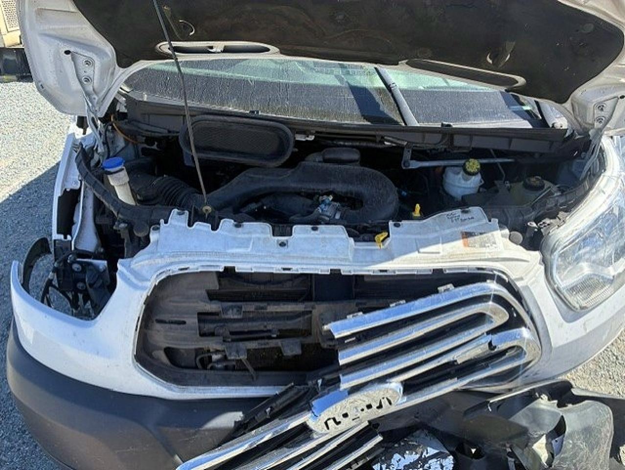 2019 FORD TRANSIT