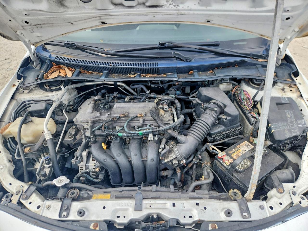 2010 TOYOTA COROLLA