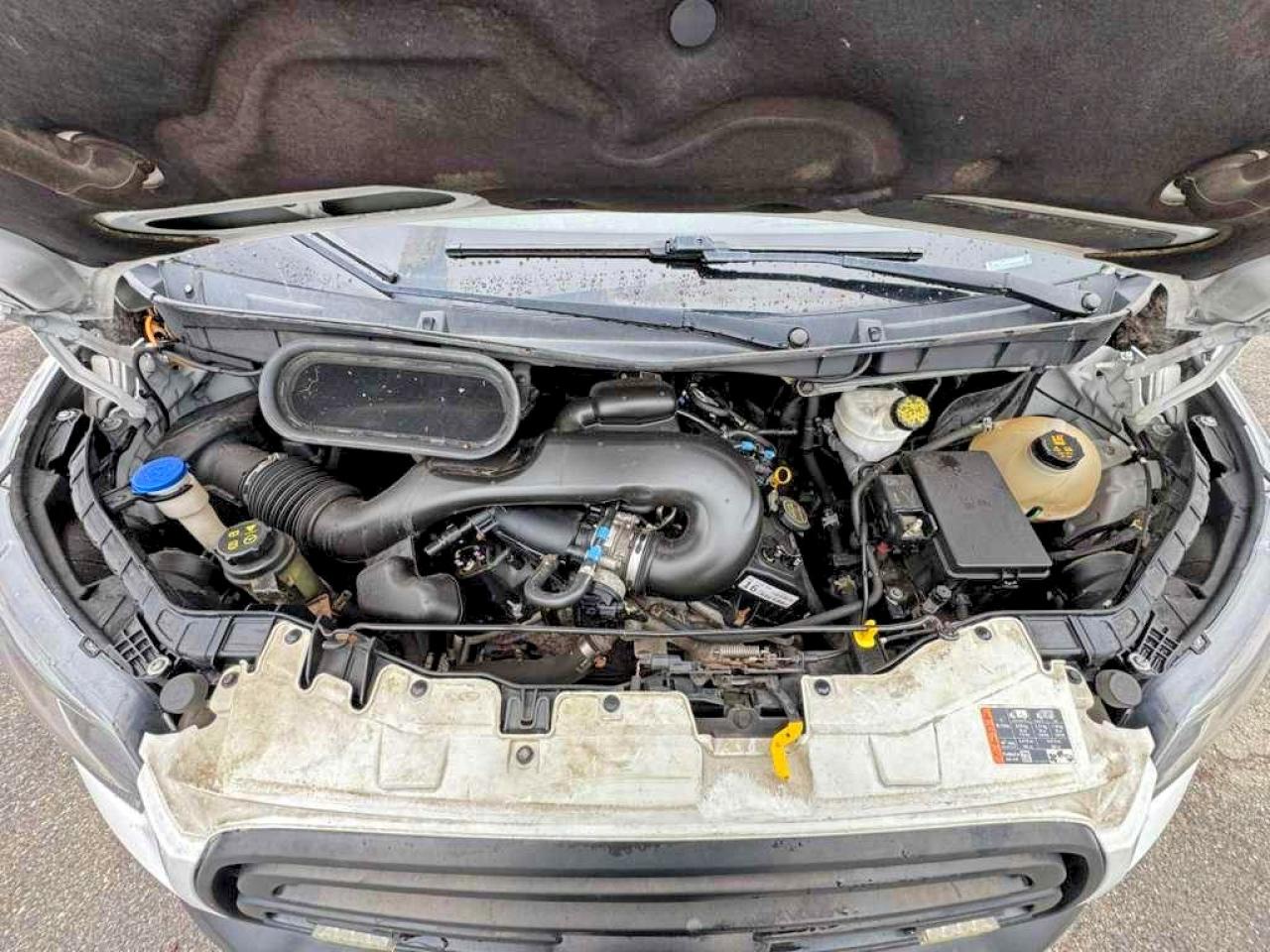 2019 FORD TRANSIT