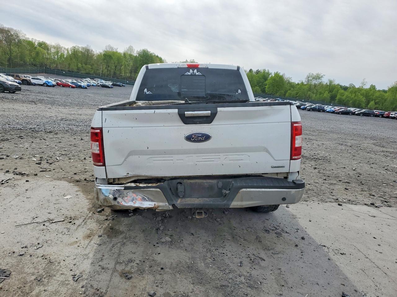 2019 FORD F150