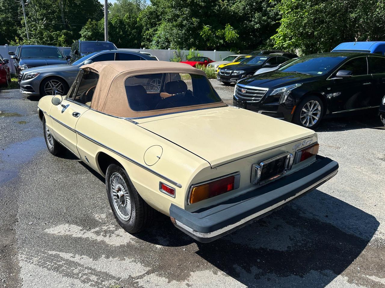 1982 ALFA ROMEO ALL OTHER