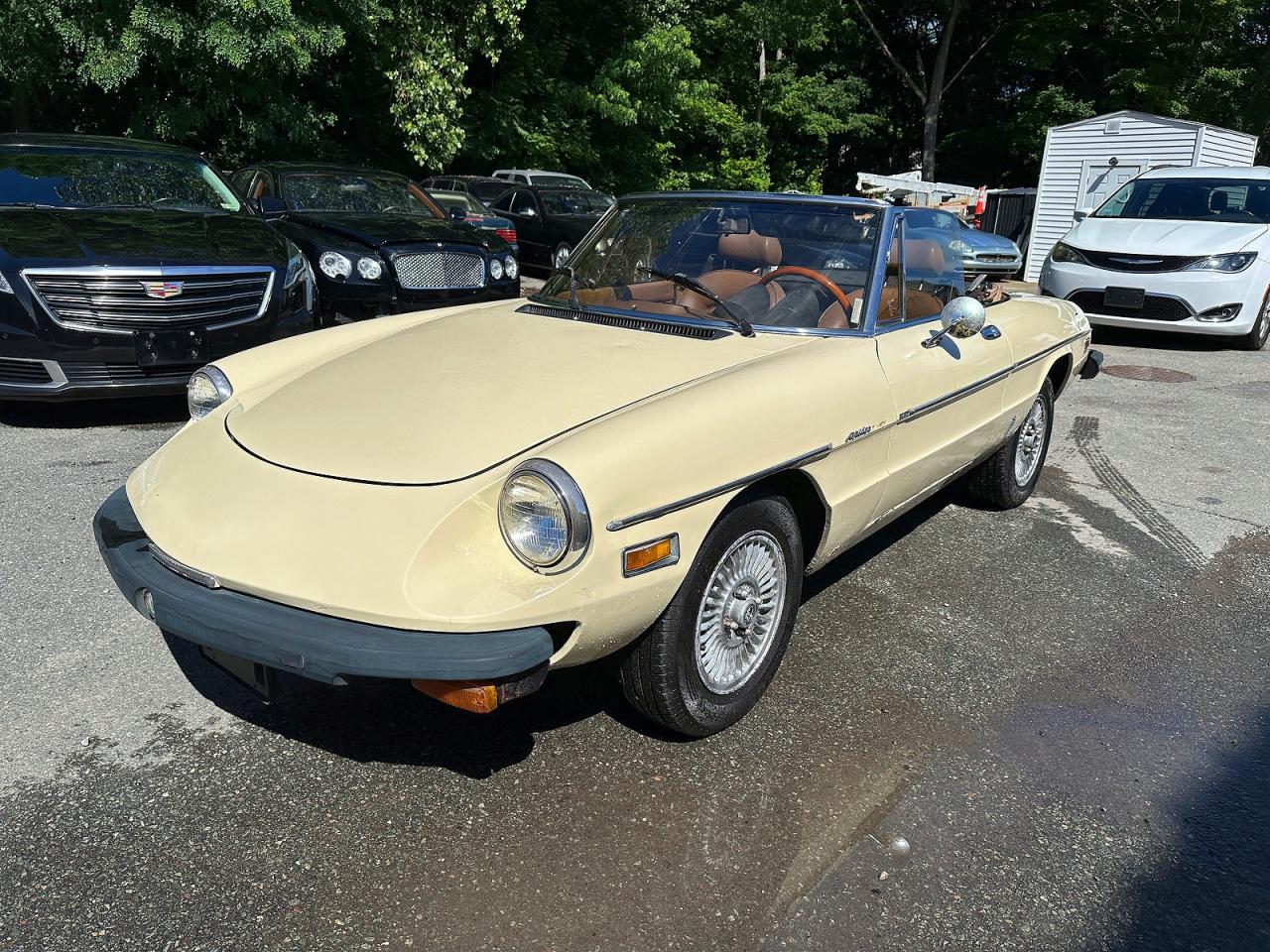 1982 ALFA ROMEO ALL OTHER