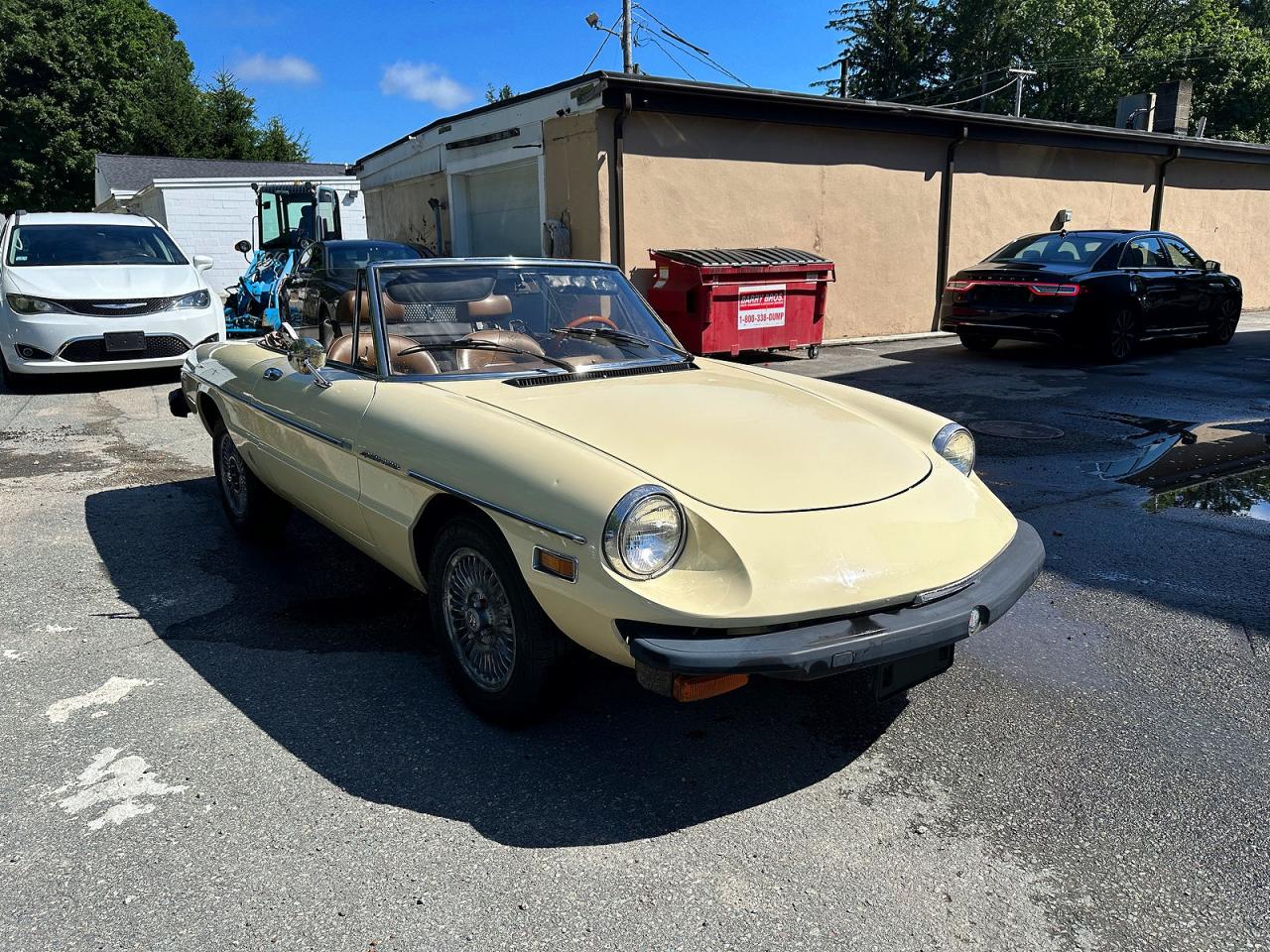 1982 ALFA ROMEO ALL OTHER