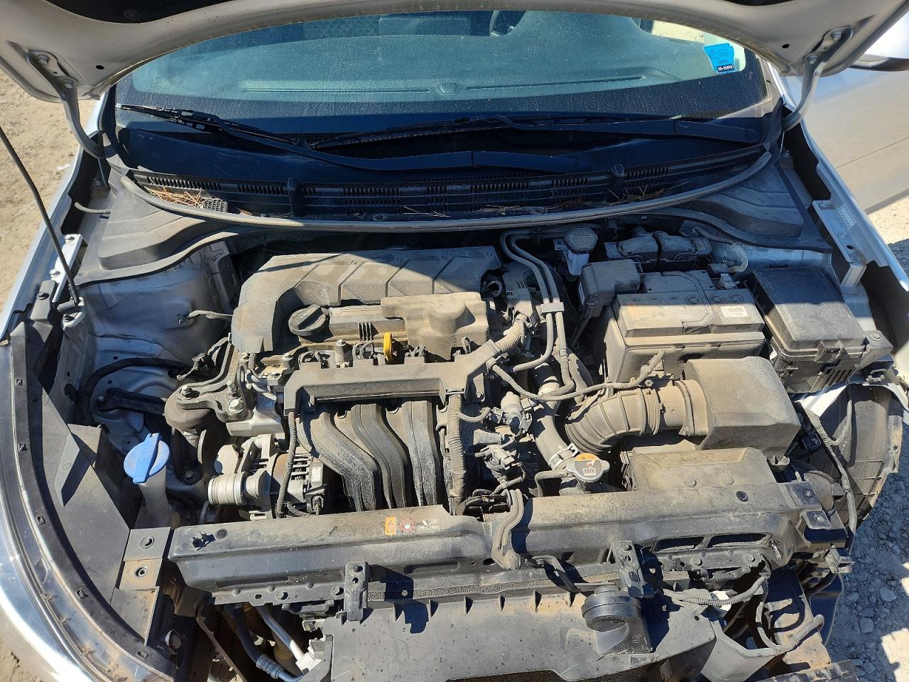 2021 KIA RIO
