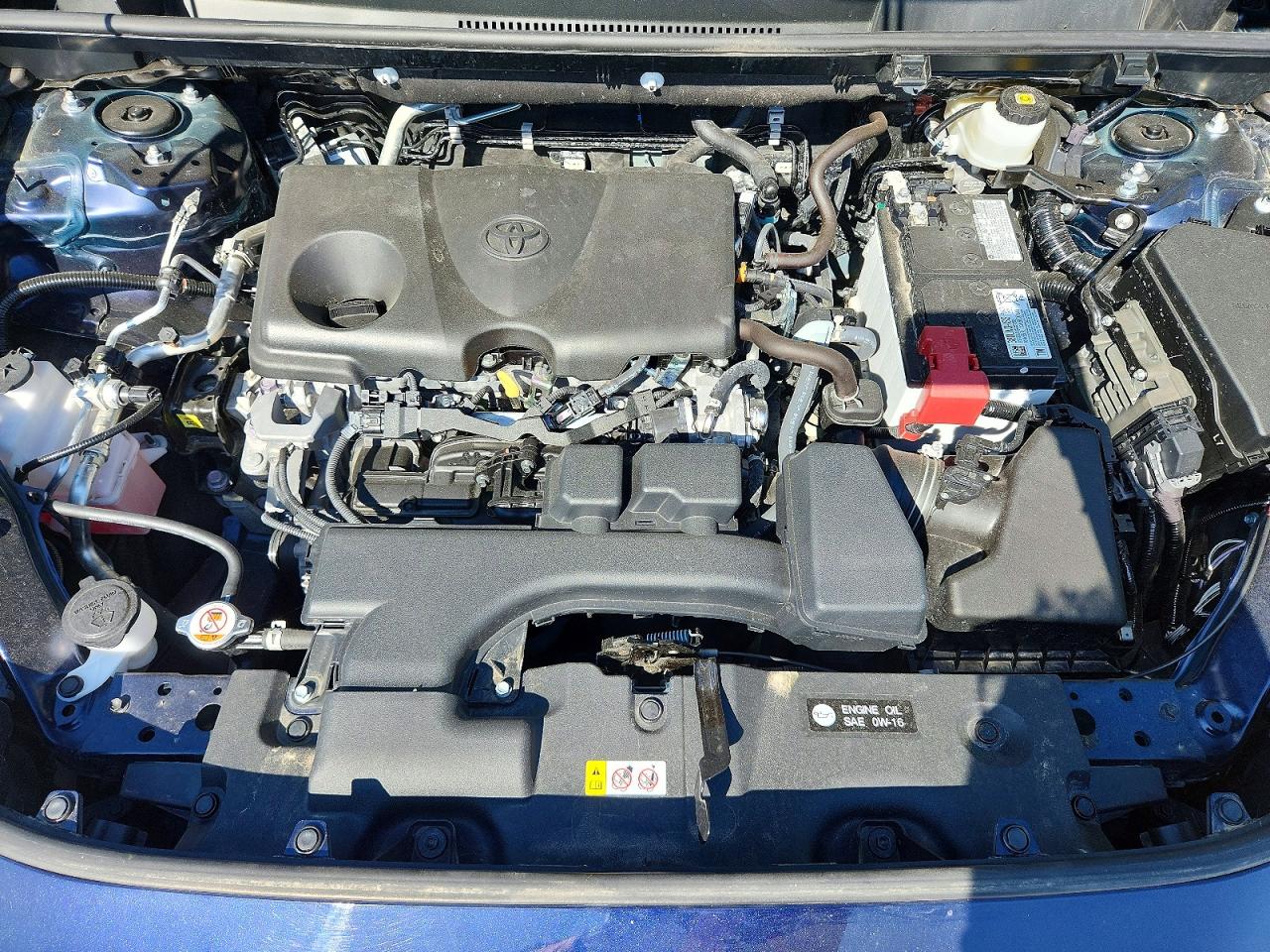 2025 TOYOTA RAV4