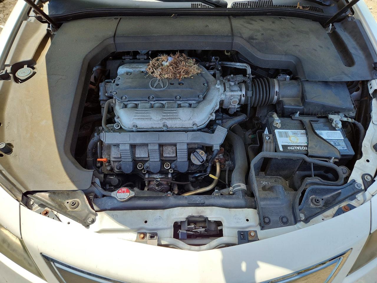 2013 ACURA TL