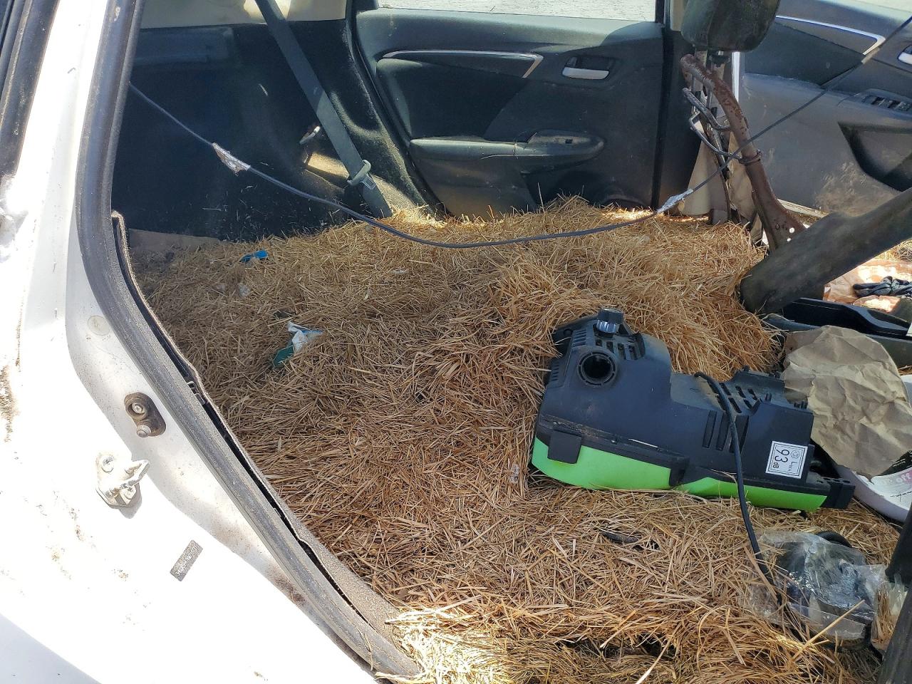 2019 HONDA FIT