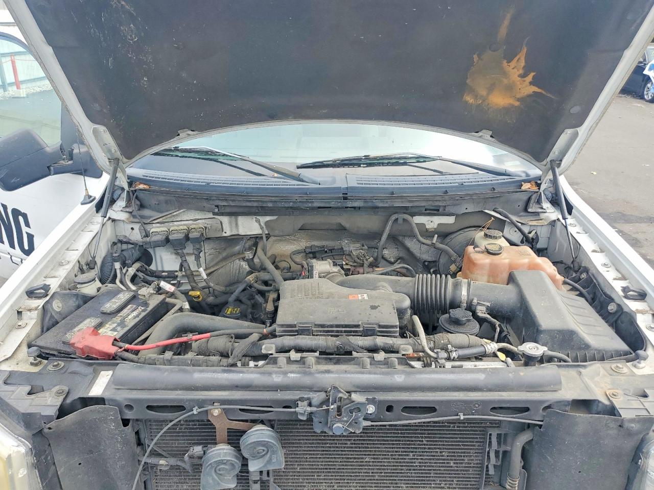 2010 FORD F150