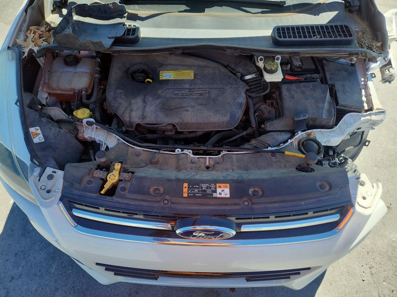 2014 FORD ESCAPE