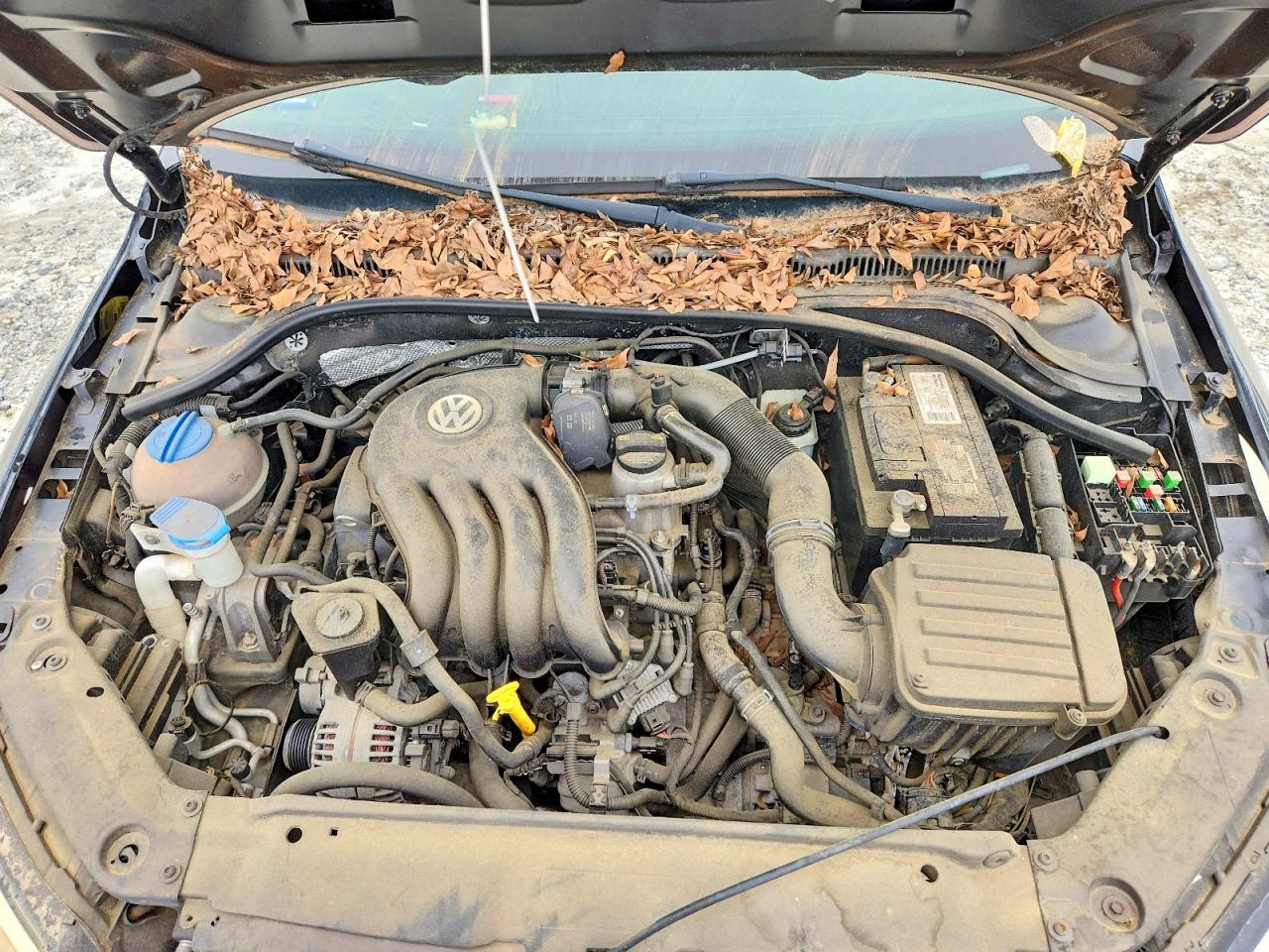 2013 VOLKSWAGEN JETTA
