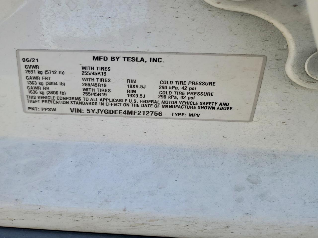 2021 TESLA MODEL Y