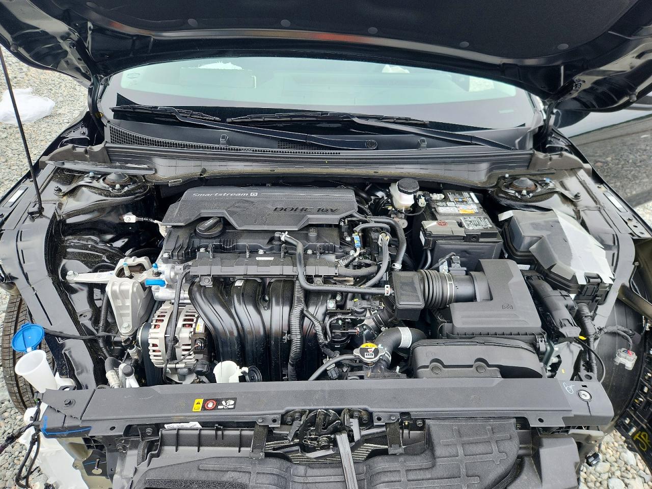2026 KIA ALL OTHER