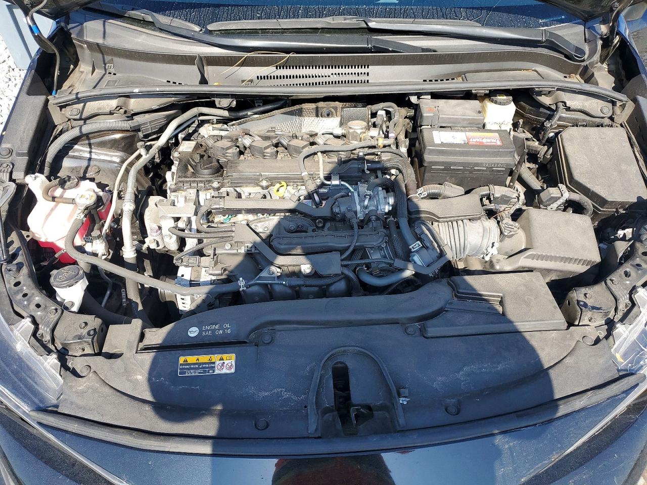 2023 TOYOTA COROLLA