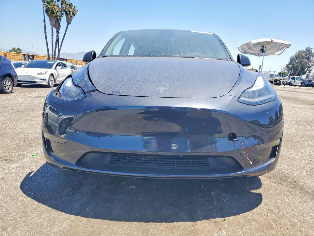2024 TESLA MODEL Y