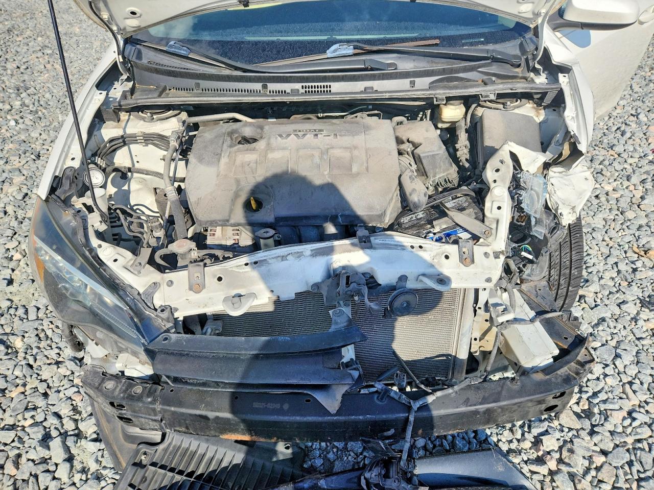 2019 TOYOTA COROLLA