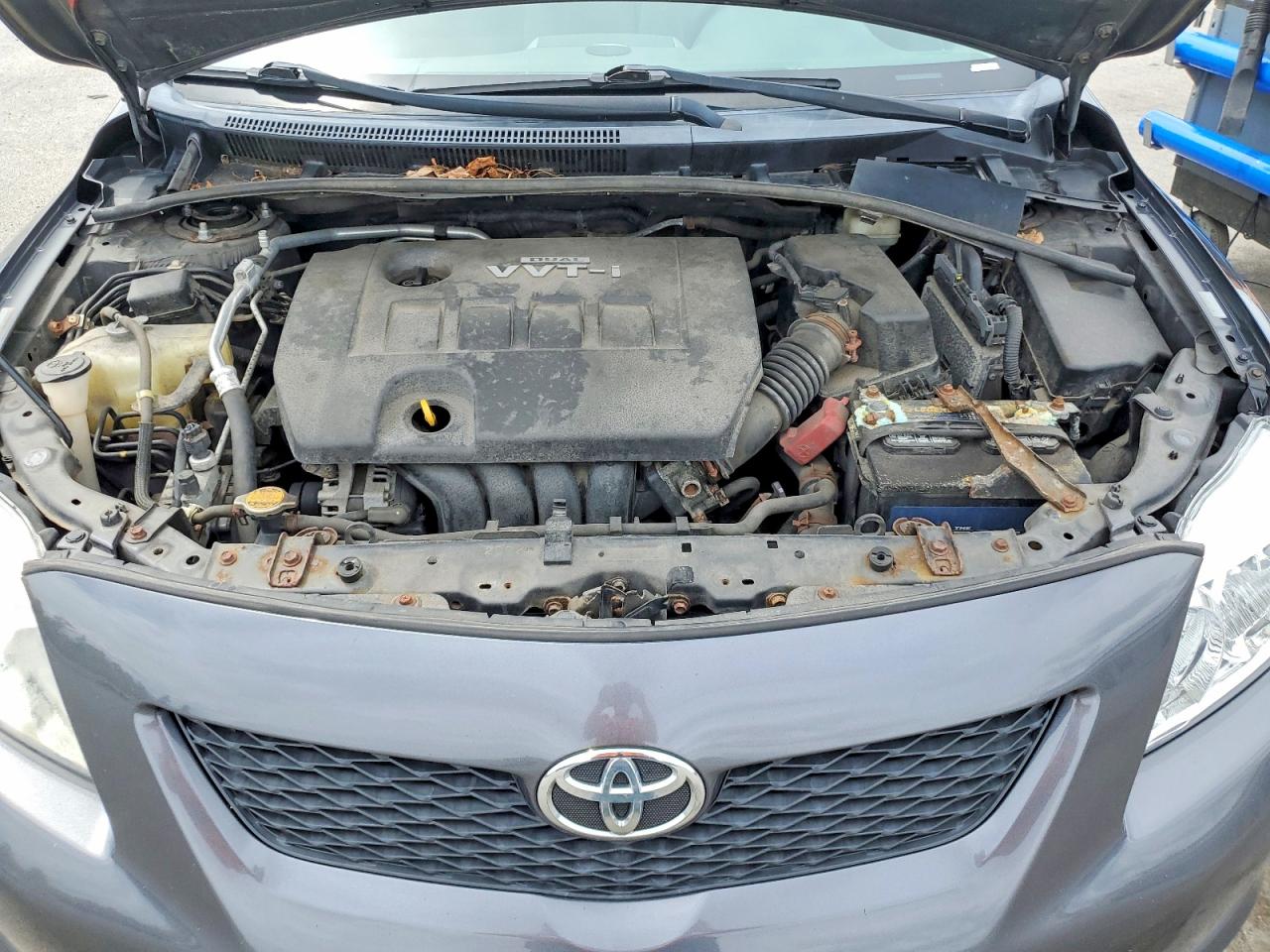 2010 TOYOTA COROLLA