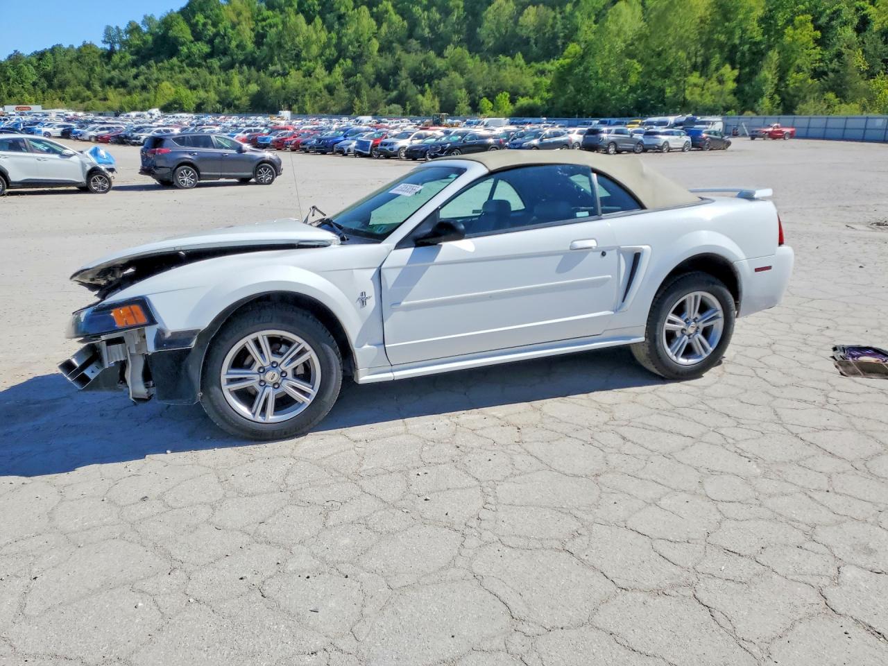 2001 FORD MUSTANG