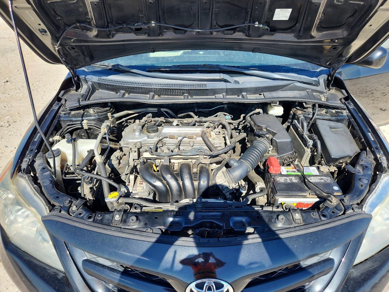 2011 TOYOTA COROLLA