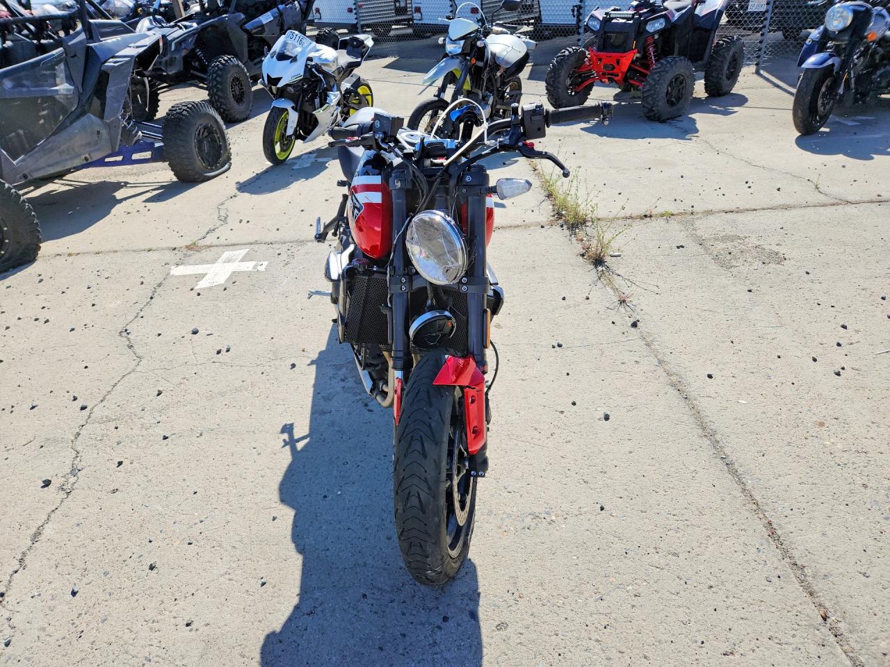 2025 TRIUMPH MOTORCYCLE ALL OTHER