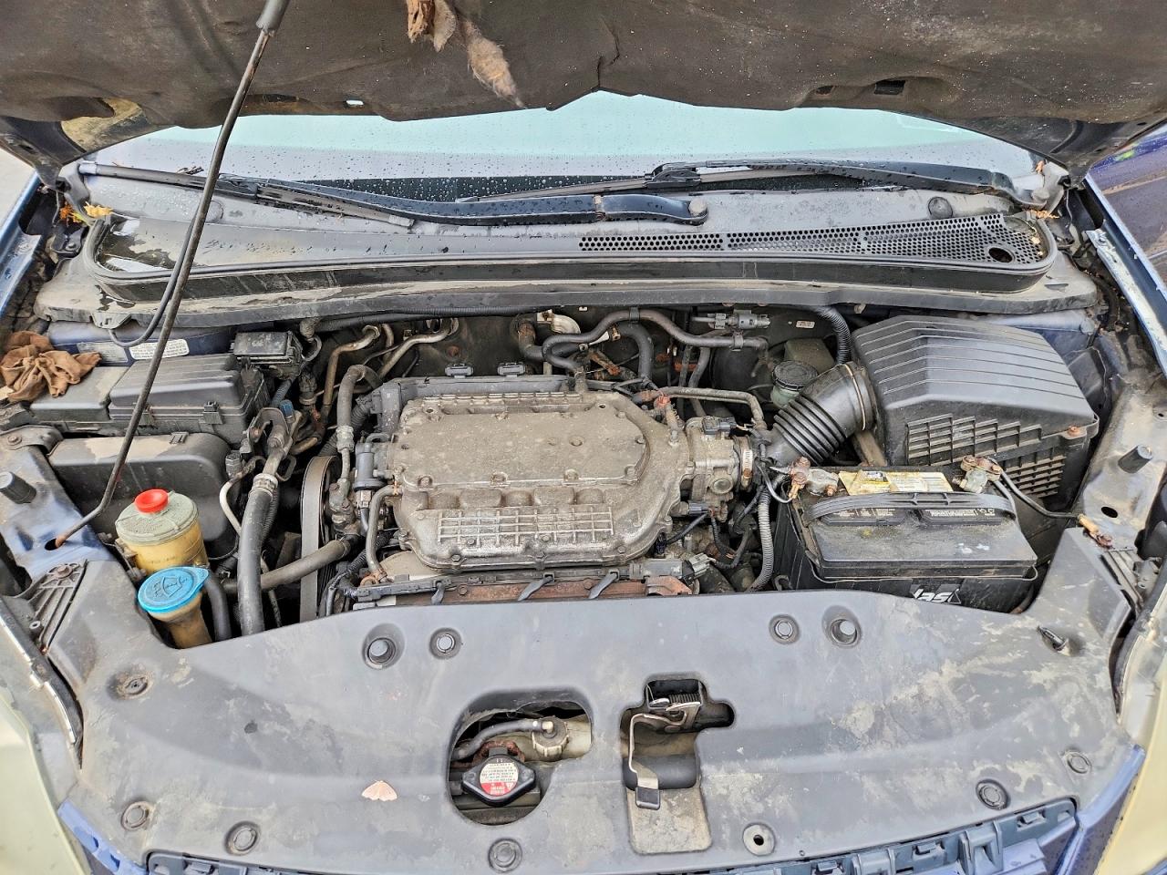2006 HONDA All Models