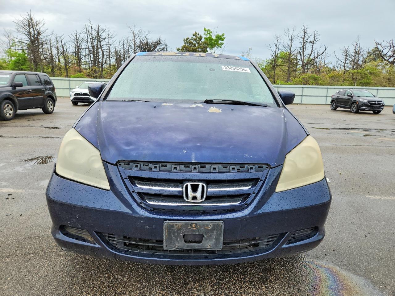 2006 HONDA All Models