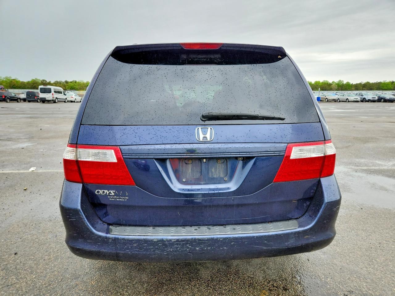 2006 HONDA All Models