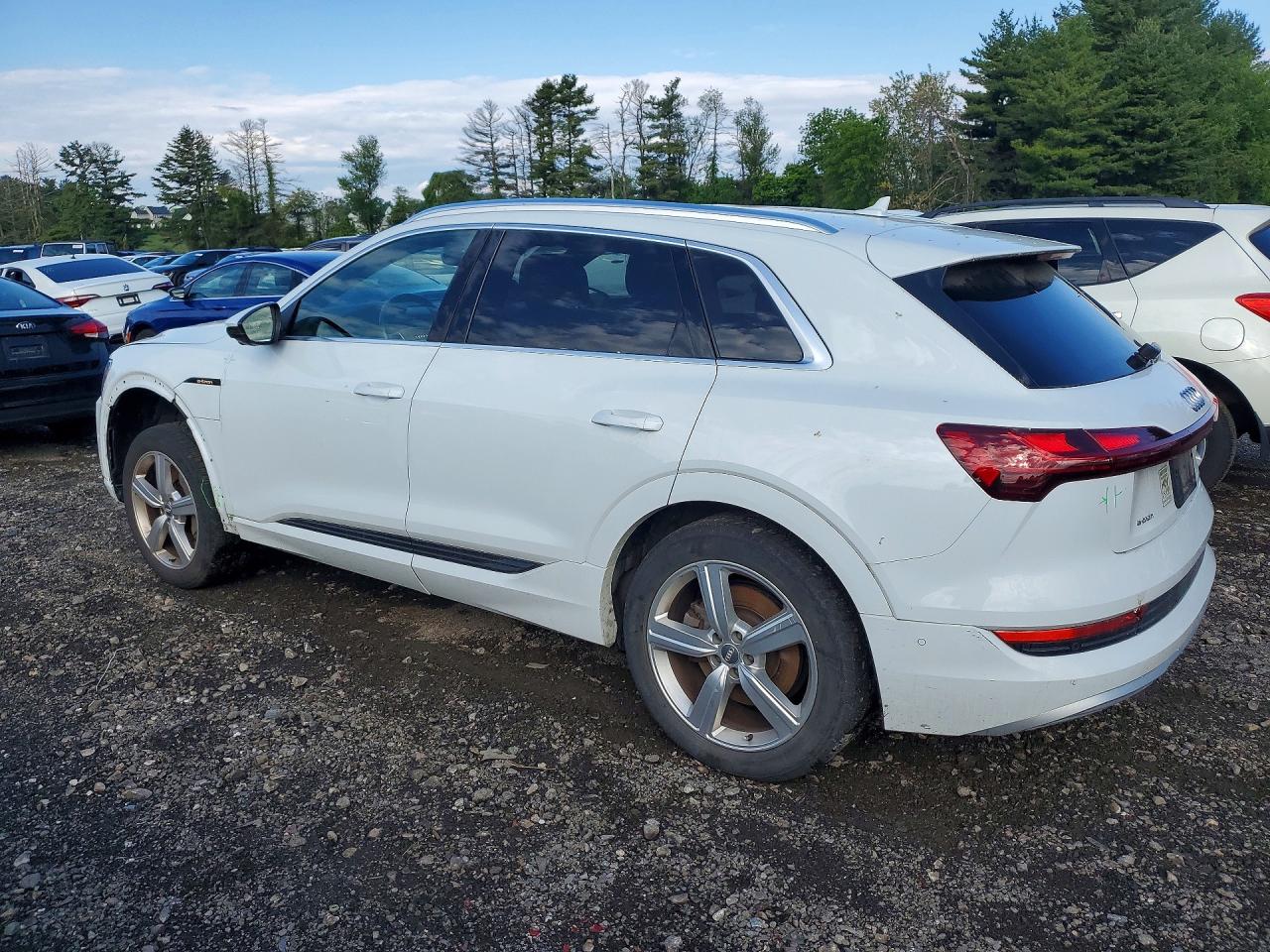 2019 AUDI E-TRON