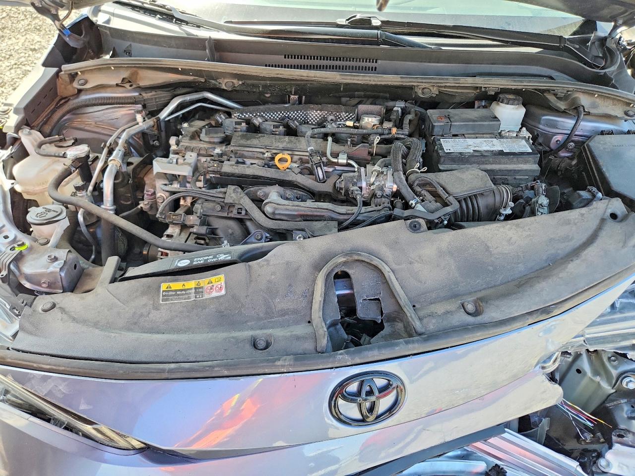 2023 TOYOTA COROLLA