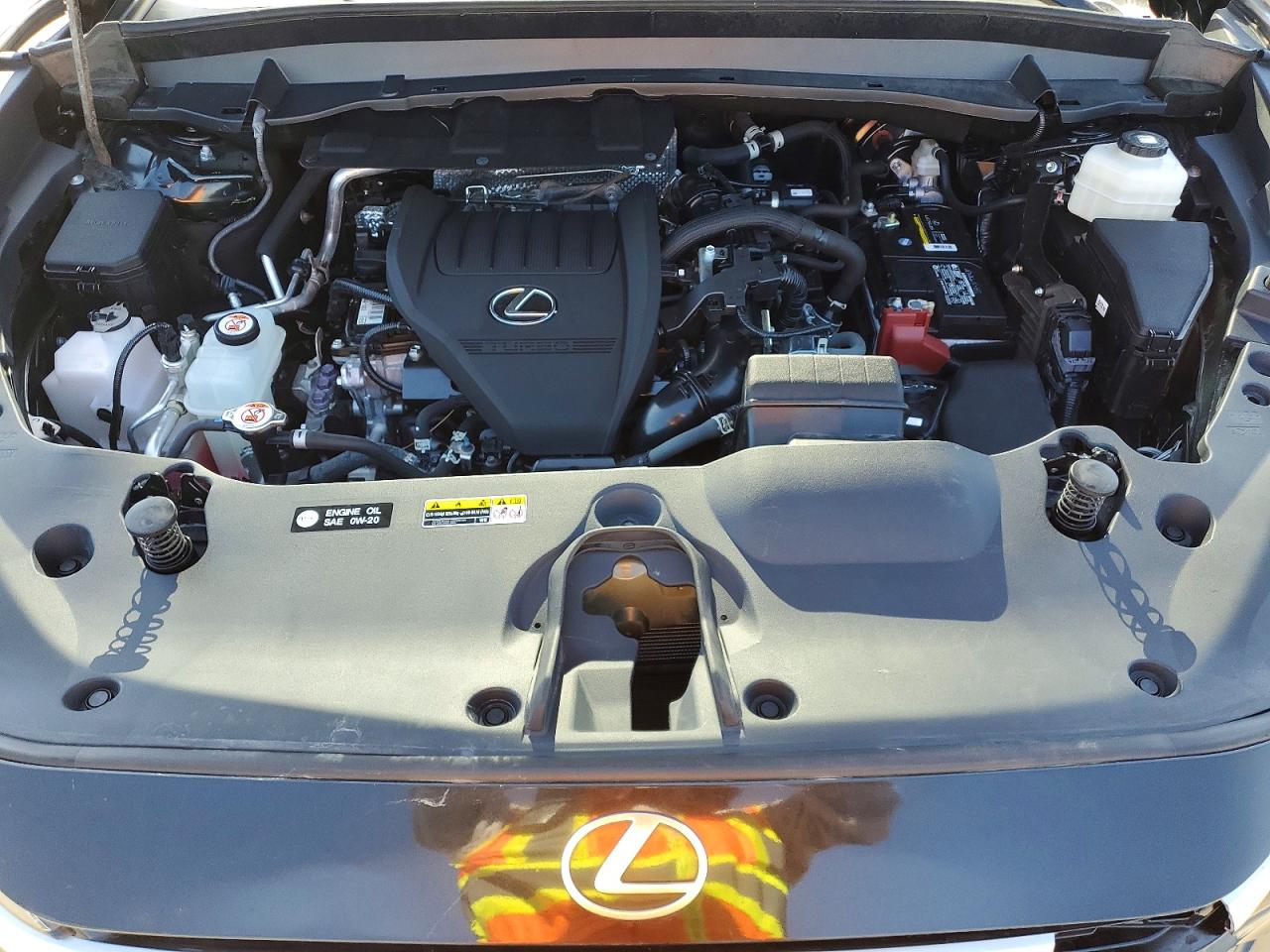 2024 LEXUS