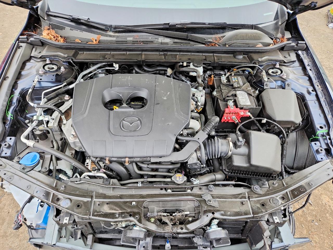 2025 MAZDA 3