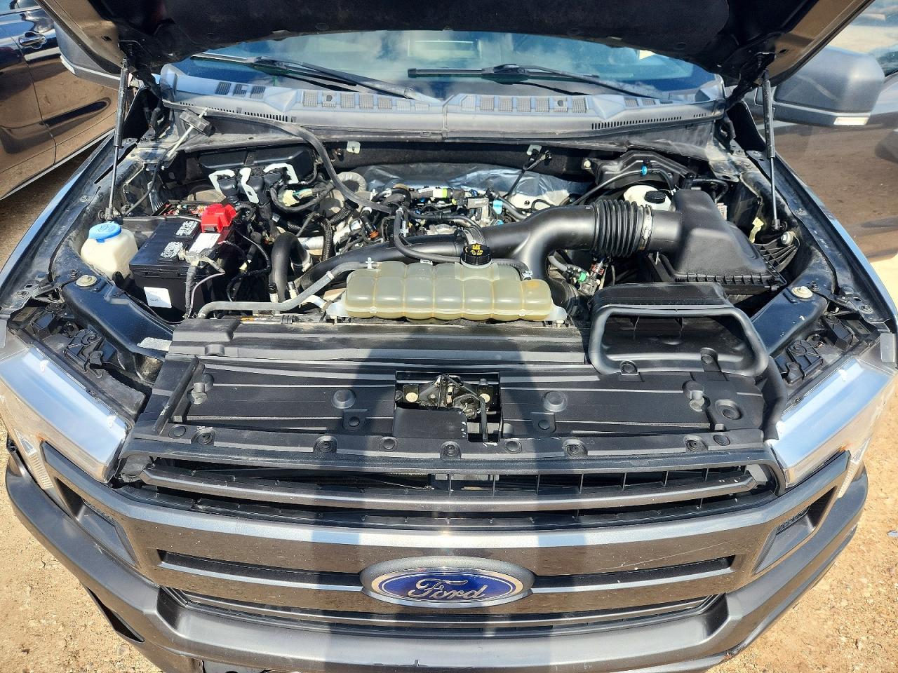 2019 FORD F150