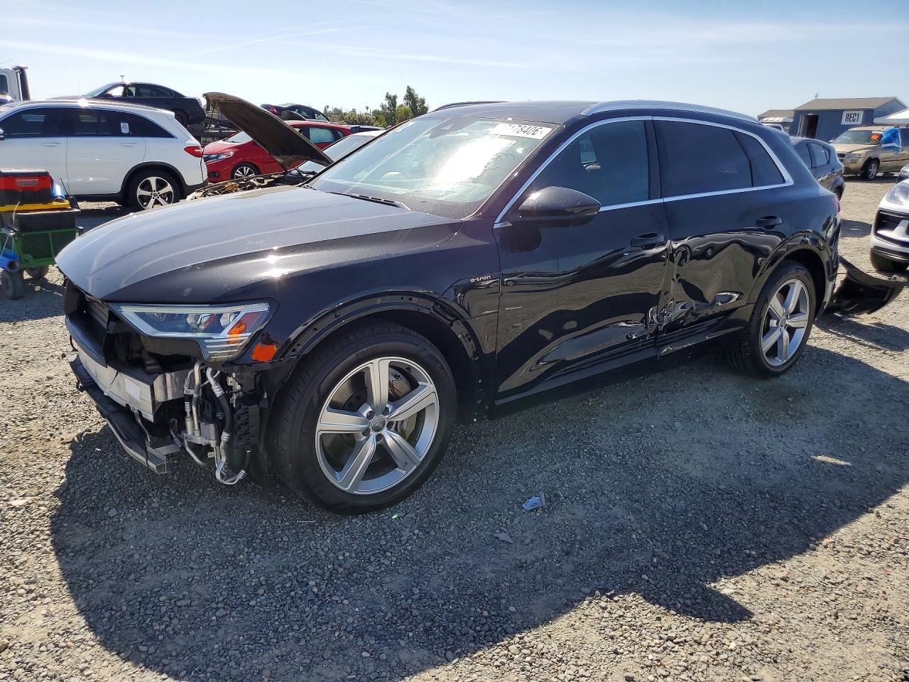 2019 AUDI E-TRON