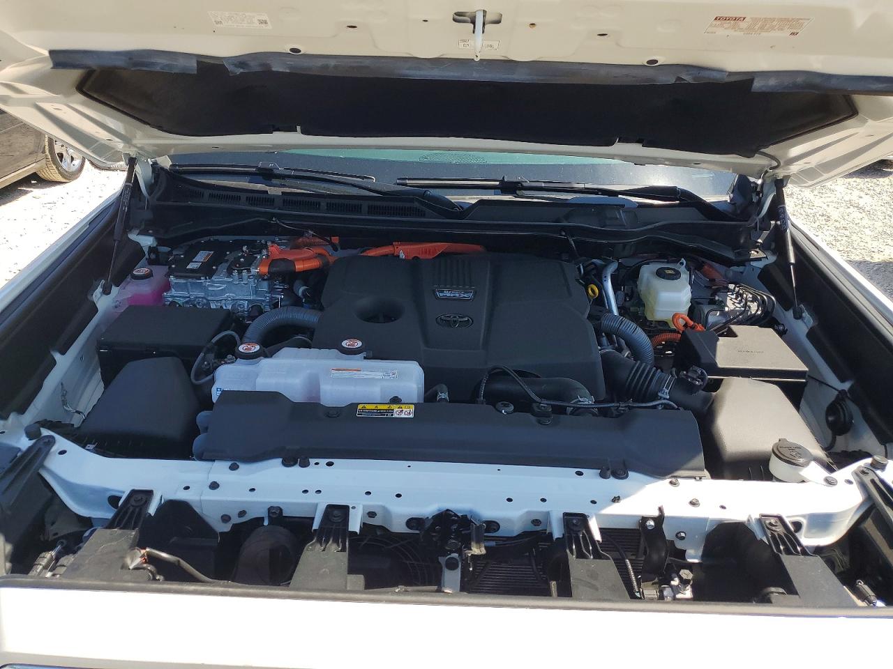 2026 TOYOTA SEQUOIA