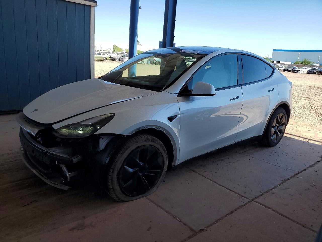 2025 TESLA MODEL Y