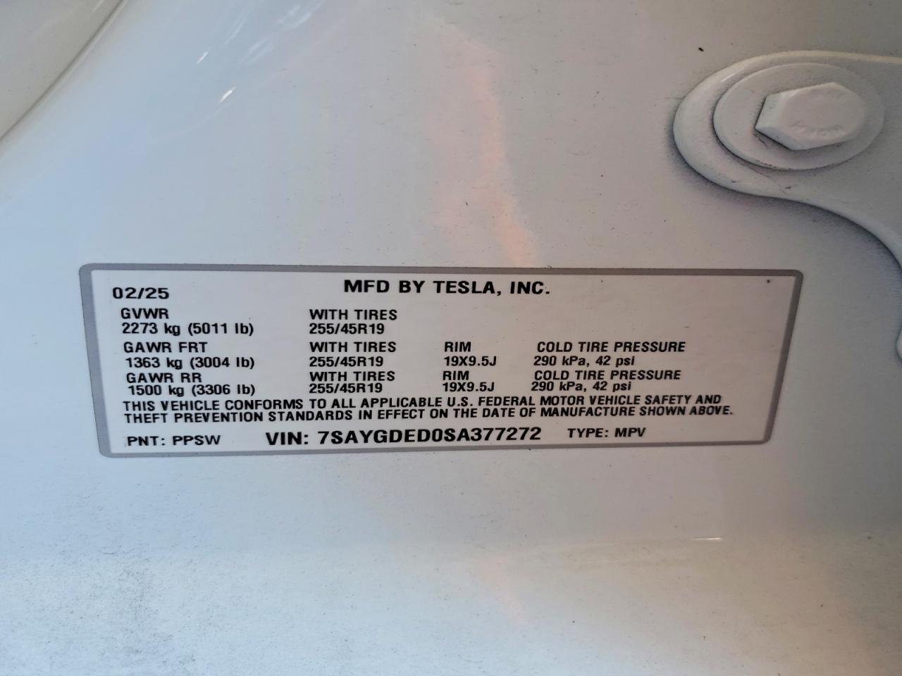 2025 TESLA MODEL Y