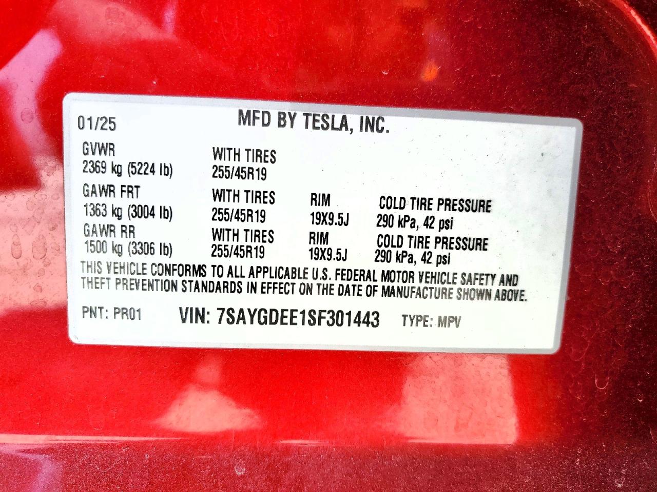 2025 TESLA MODEL Y