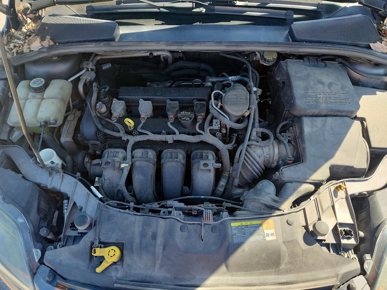 2013 FORD FOCUS