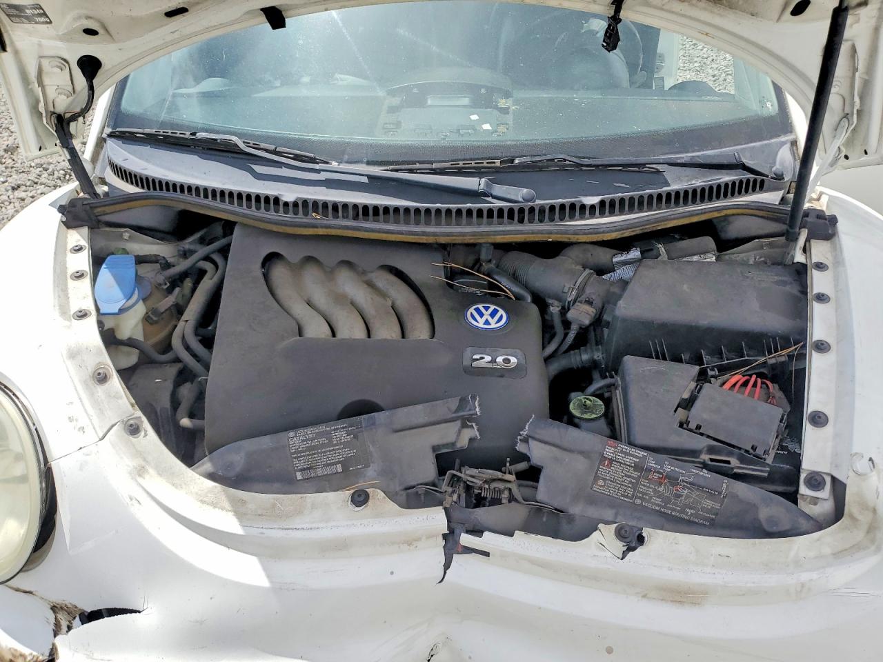 2001 VOLKSWAGEN BEETLE