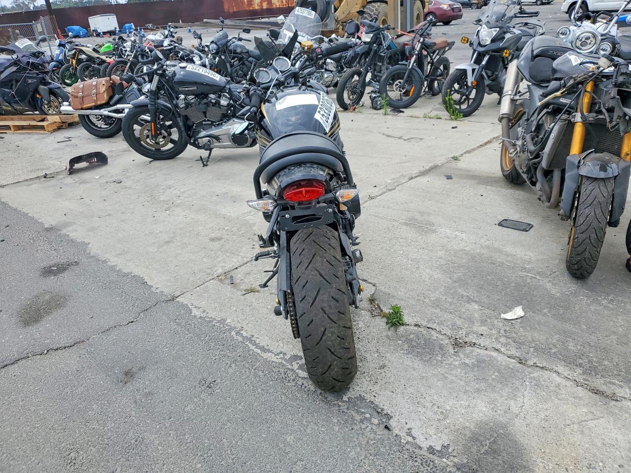 2024 KAWASAKI Z/ZR 1000