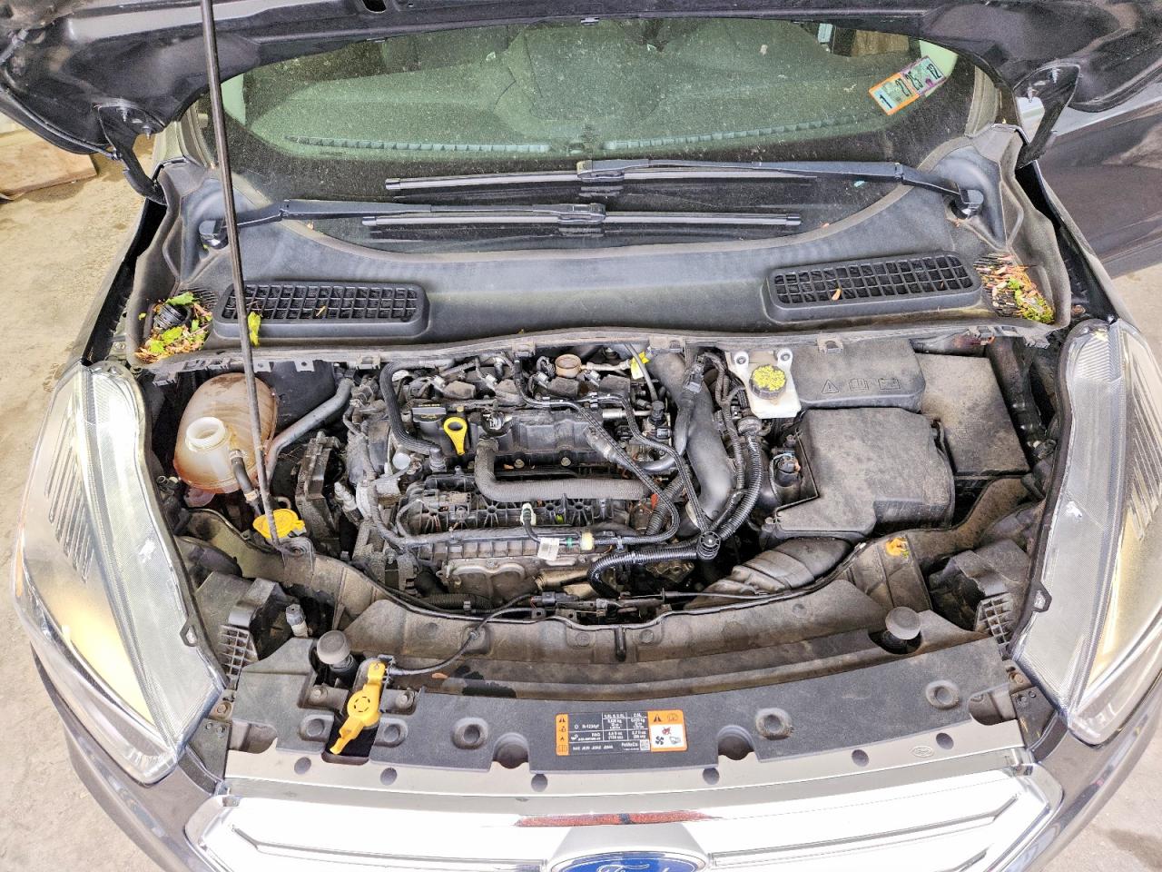 2019 FORD ESCAPE
