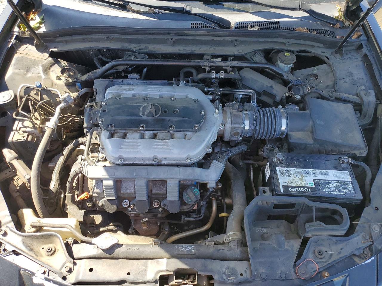 2010 ACURA TL