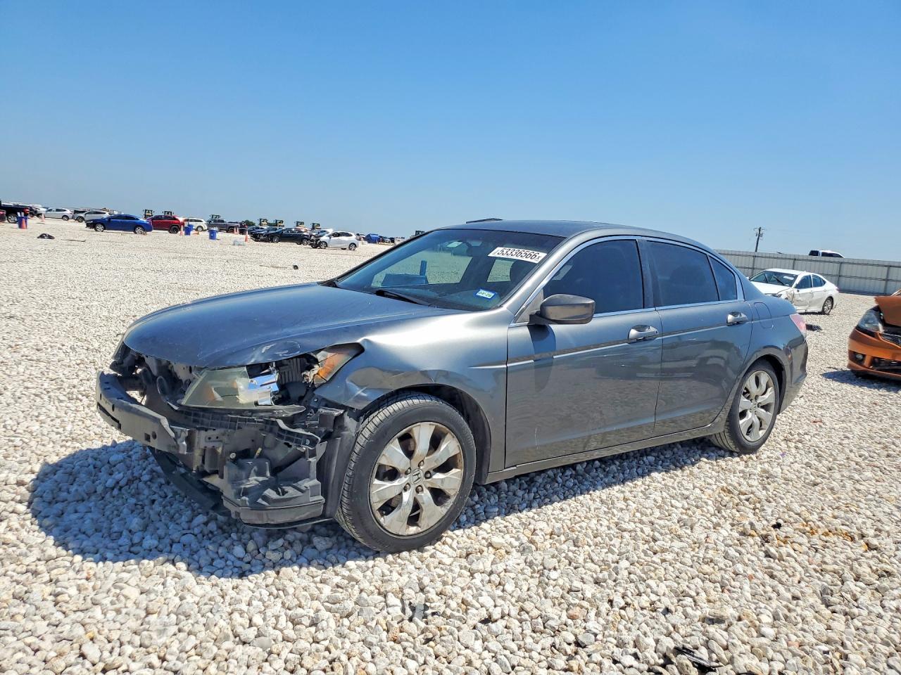 2010 HOND ACCORD