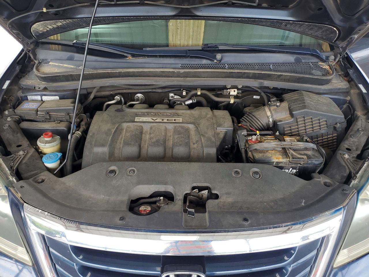 2010 HONDA All Models