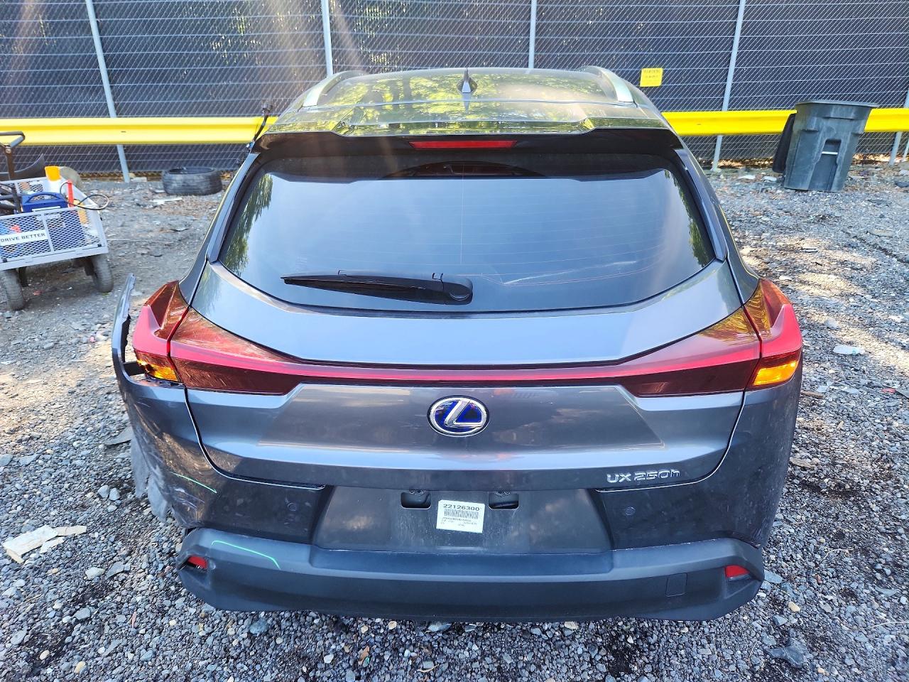 2022 LEXUS ALL OTHER
